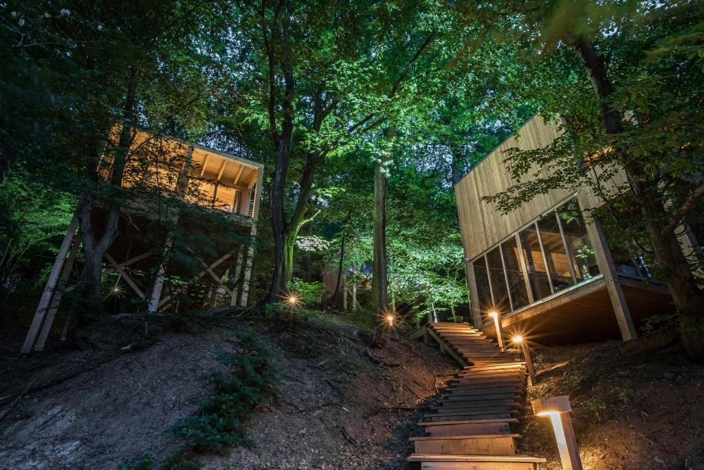 诺茨瓦约TreeHouses Noszvaj的树林中的房屋,楼梯上灯火通明