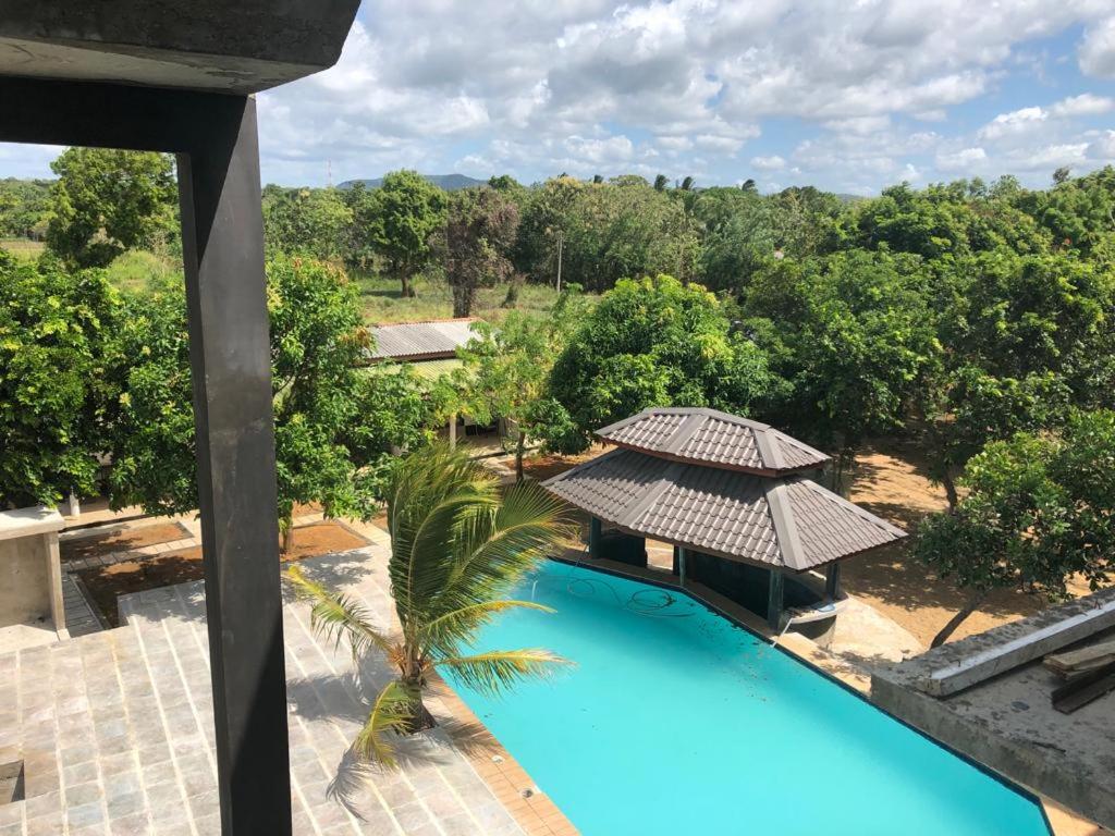 锡吉里亚WILD FORTRESS HOTEL Sigiriya的游泳池顶部景,带遮阳伞