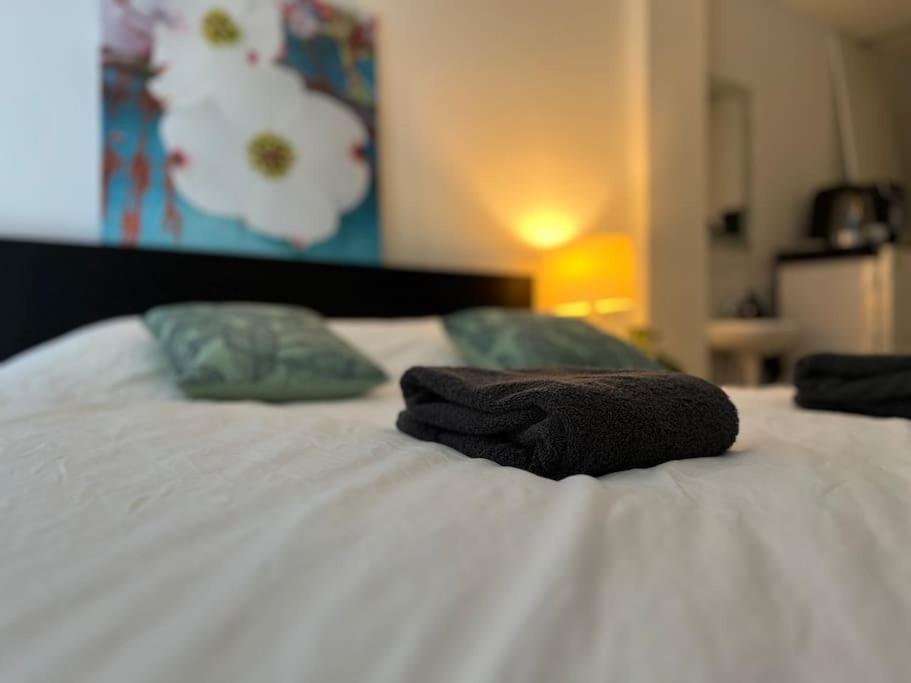 埃因霍温Room 101 - Eindhoven的白色床边的两条毛巾