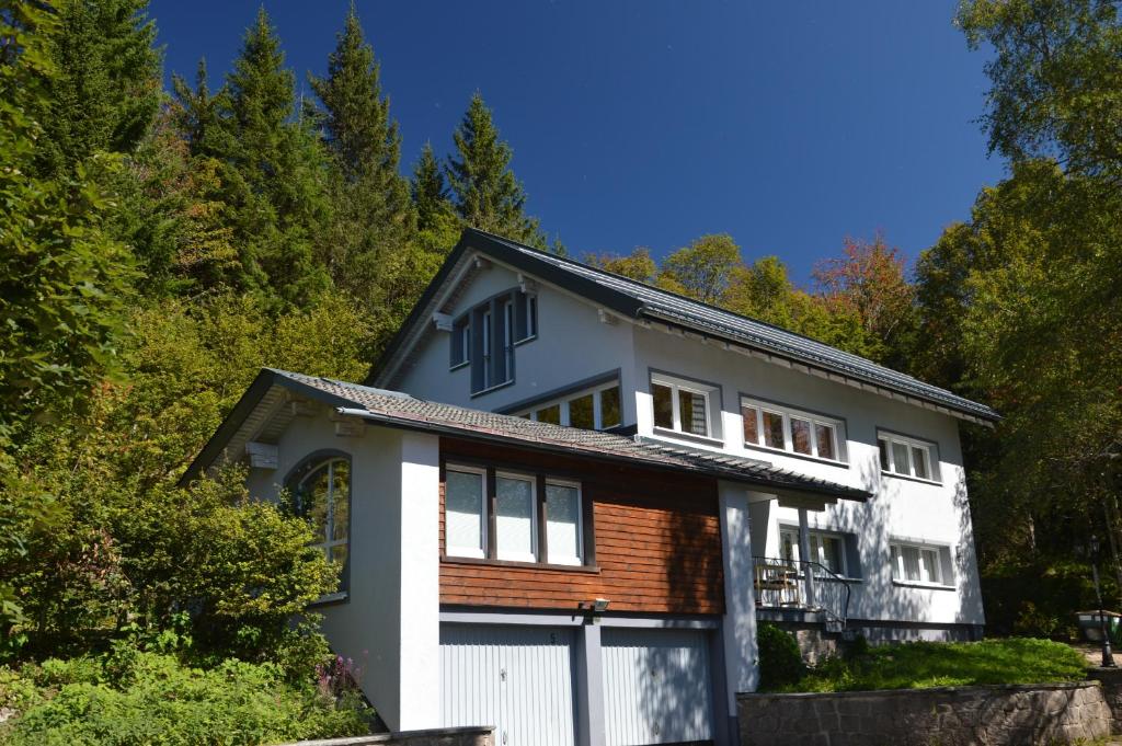 费尔德伯格Schwarzwaldhimmel的白色和棕色的房子