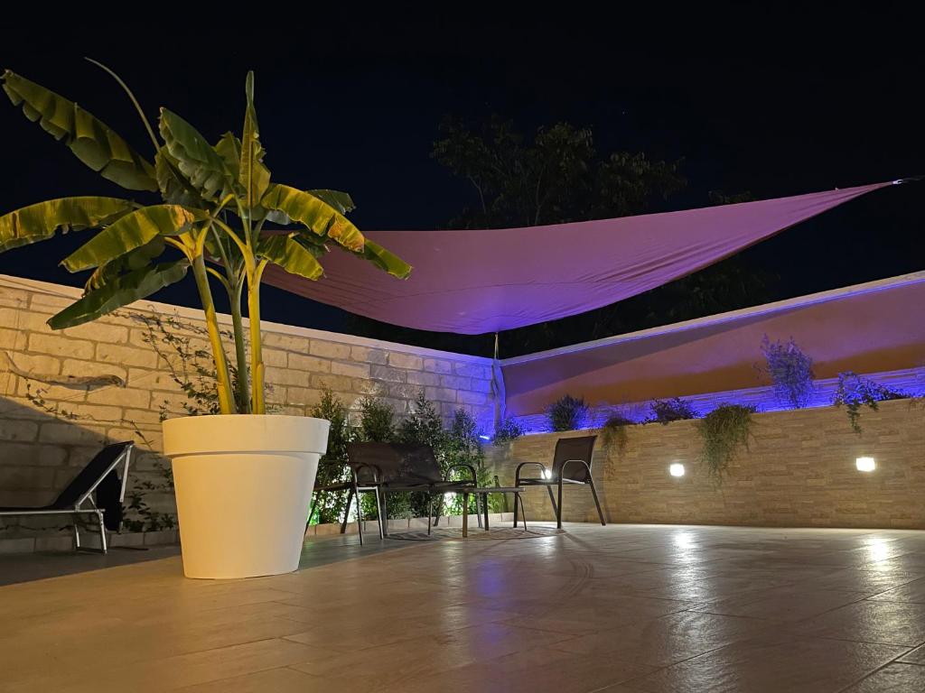 巴里Caramel House & Villa的一种在庭院里过夜的盆栽植物