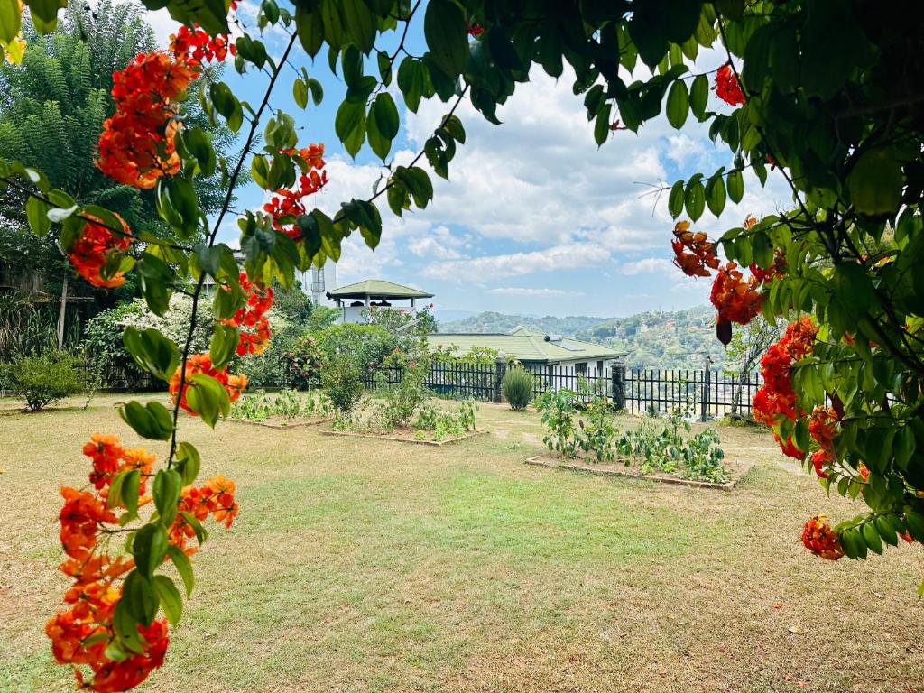 康提The Views Kandy - 360 Mountain View的享有花园的红色鲜花美景