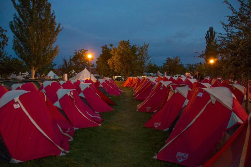 阿姆斯特丹Stoke Travel's Amsterdam Camping的坐在草地上的一束红色椅子