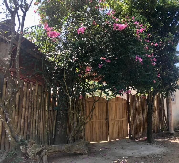 帕洛米诺Caza Terraza的木栅栏前有粉红色花的树