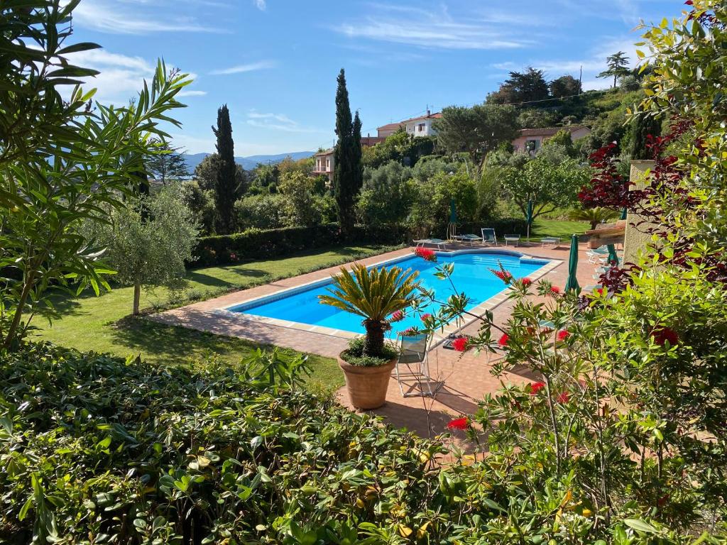 费拉约港Belvedere Residenza Mediterranea的花园中的游泳池,种植了盆栽植物