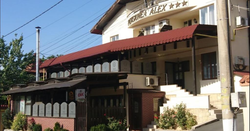 图尔恰Vila Alex&Razvan的一座带小酒馆标志的古老建筑