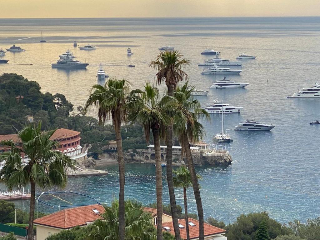博索莱伊Monte Carlo border sea view 10 min to Casinò的棕榈树海港里的一群船
