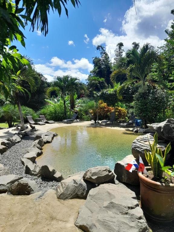 CopecitoCabanas Los Colibris的花园中一个岩石池