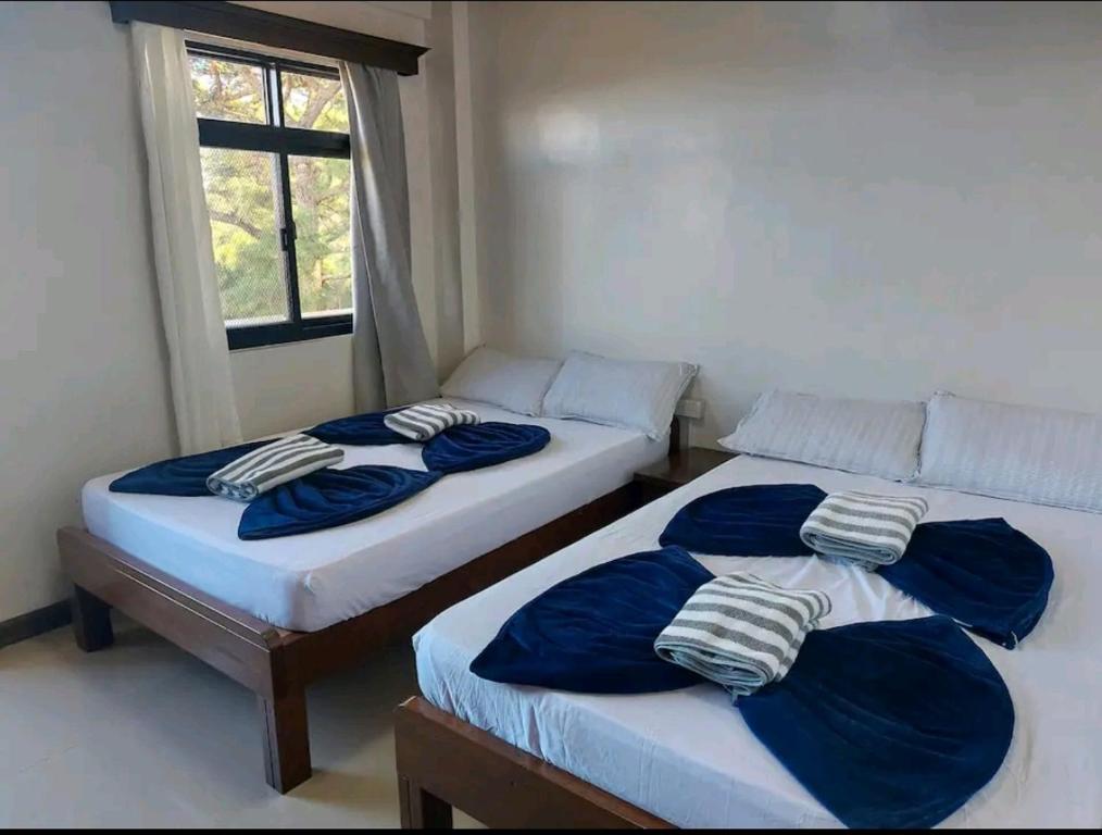 碧瑶Haven Haus with Mountain View的带窗户的客房内设有两张单人床。