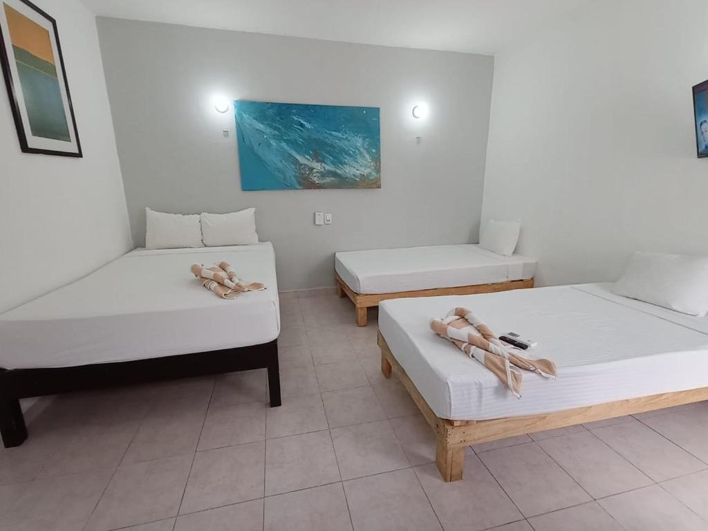 普拉亚卡门Casa Maria Fernanda的一间设有两张床和两张床铺的房间