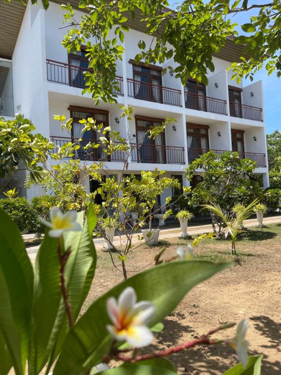 帕西库达Amanda Beach Resort的前面有树木的白色建筑