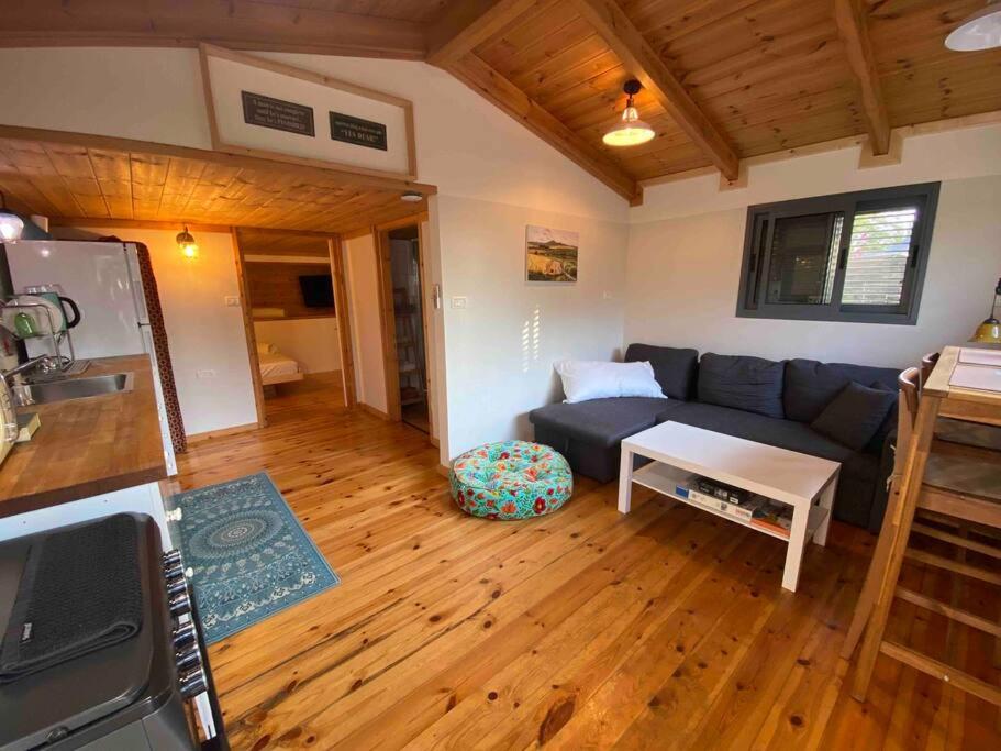 Kefar DaniyyelBit cabin near the airport的客厅设有蓝色的沙发和木地板