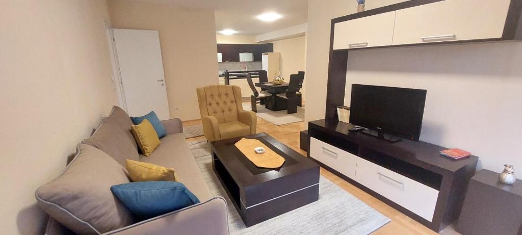 斯特鲁米察Sandras Apartment的带沙发和平面电视的客厅