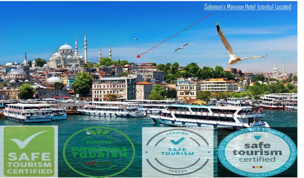 伊斯坦布尔Solomon's Mansion Hotel Istanbul的一群船停靠在港口