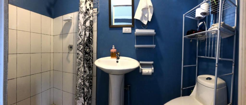 蒙泰韦尔德哥斯达黎加Lissadell Country House的蓝色的浴室设有水槽和淋浴