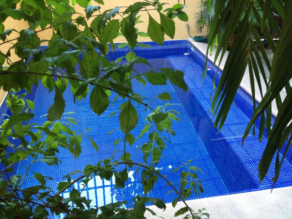 锡瓦塔塔内霍萨利纳斯酒店的前方的蓝色游泳池,有树