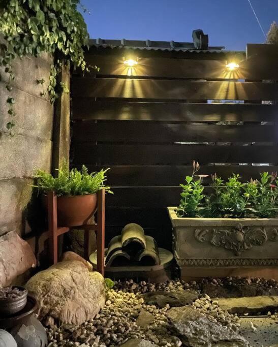 Bow Hanok House外面的花园