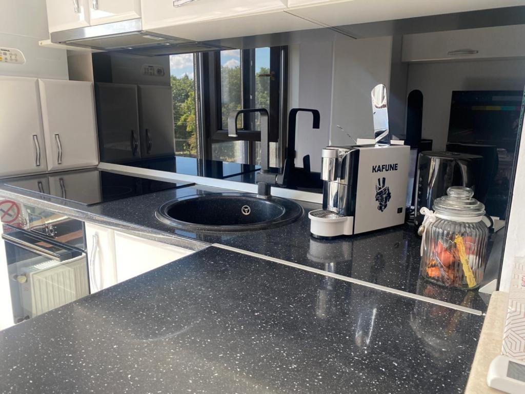 雅西Copou Residence的厨房配有带水槽的黑色台面