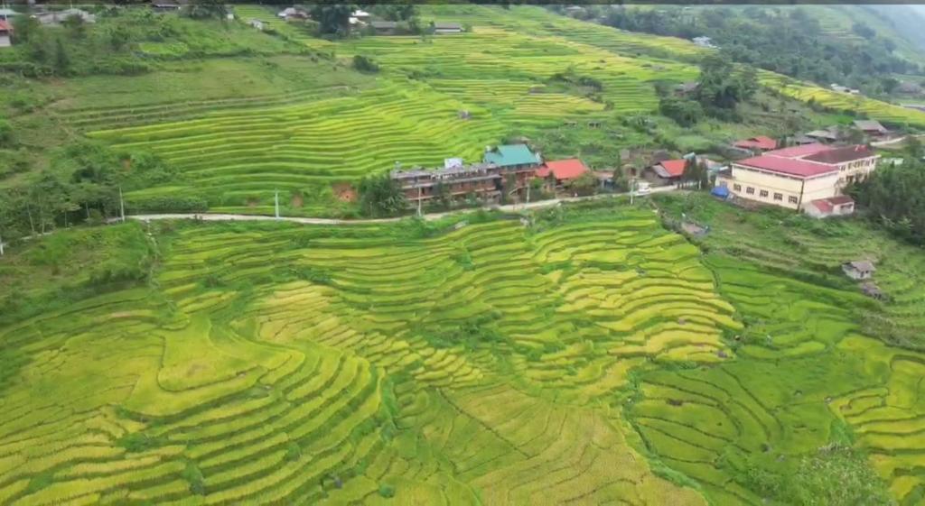 萨帕Hmong Wooden Home的绿色作物田野的空中景观