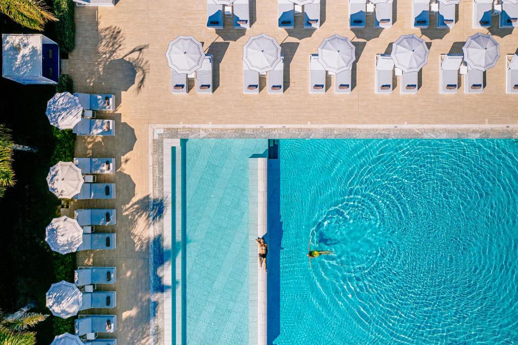 帕福斯Ivi Mare - Designed for Adults by Louis Hotels的享有酒店游泳池的顶部景色