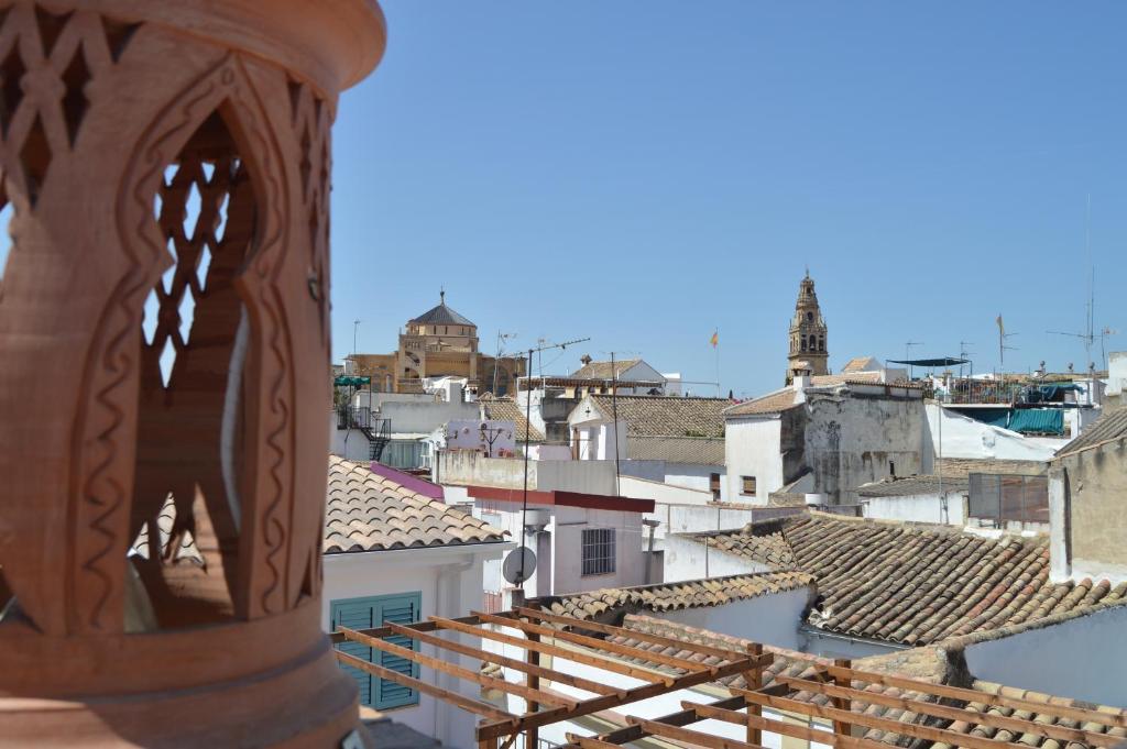 科尔多瓦Apartamentos El Aljibe Relax Tourist Cordoba的从建筑屋顶上可欣赏到城市美景