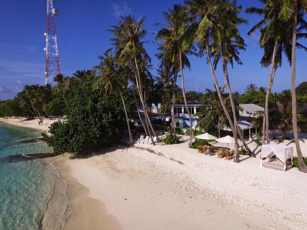 图鲁斯杜巴图塔马尔代夫海浪景观旅馆的棕榈树和海洋的沙滩