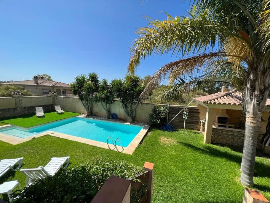 圣玛丽亚港Apartoyou - Chalet & Pool的一个带游泳池和棕榈树的后院