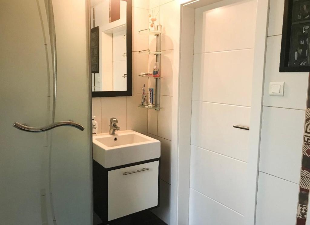 阿尔泽特河畔埃施Private Room in Esch-sur-Alzette的一间带水槽和淋浴的小浴室