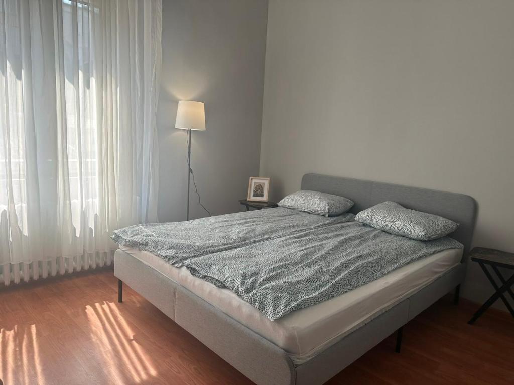 诺维萨德EVA Apartment的白色房间的床,配有灯和窗户