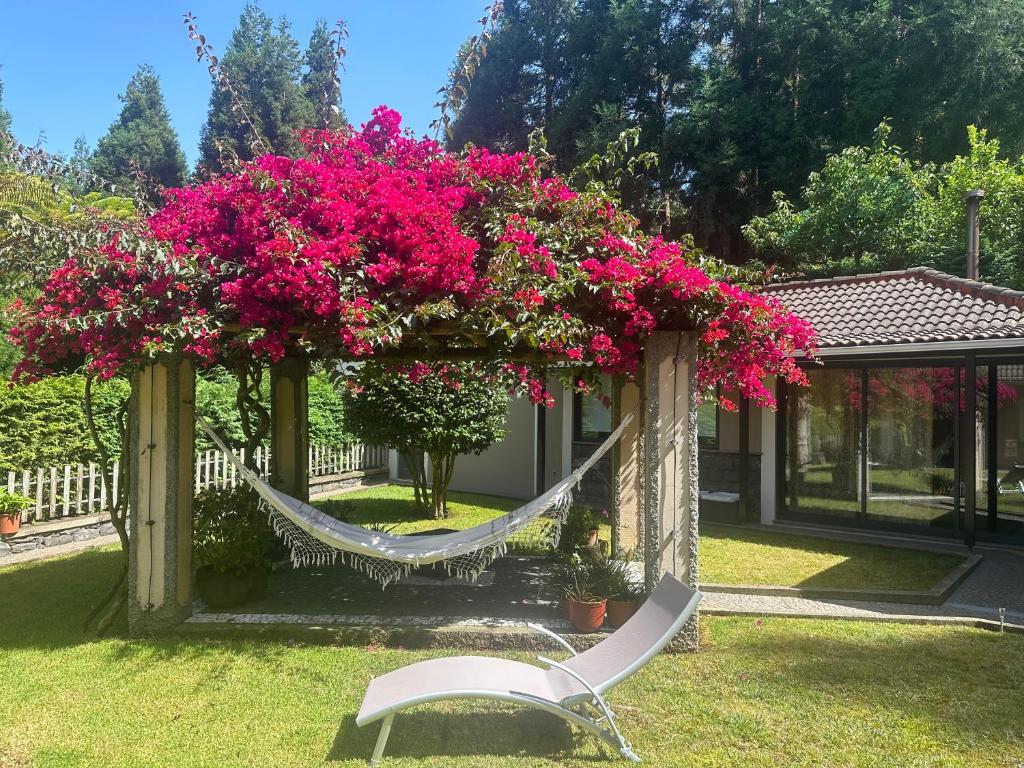 马希库Quiet Place的院子里的吊床,有粉红色的花朵和房子