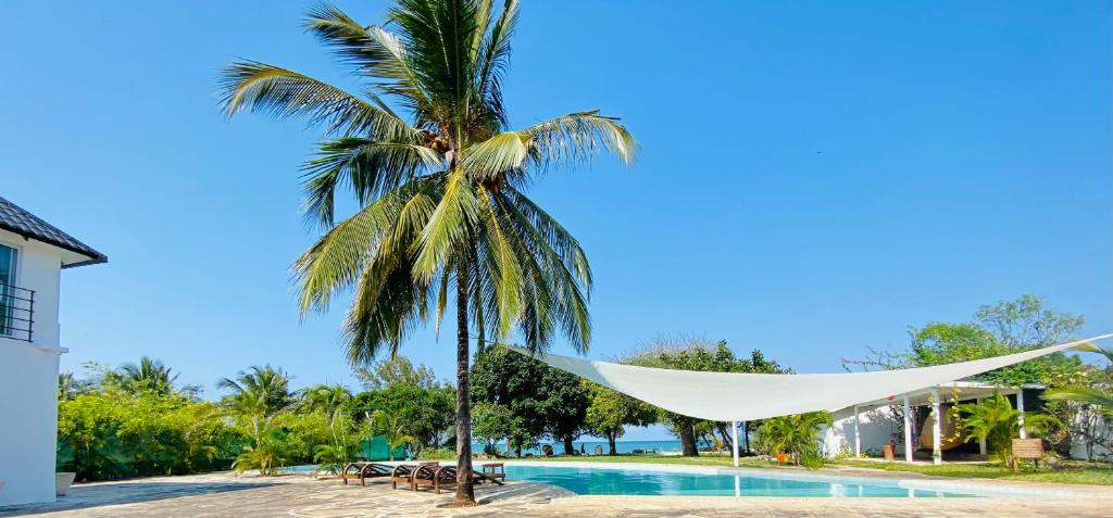 迪亚尼海滩Sonrisa Villas的游泳池旁棕榈树下的吊床