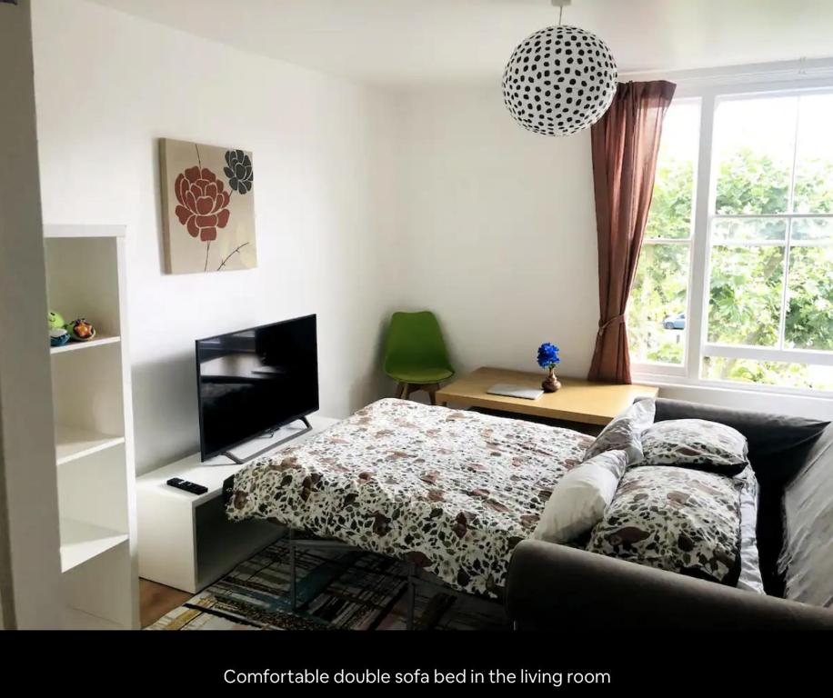 伦敦Peaceful flat in Central London的带沙发和电视的客厅