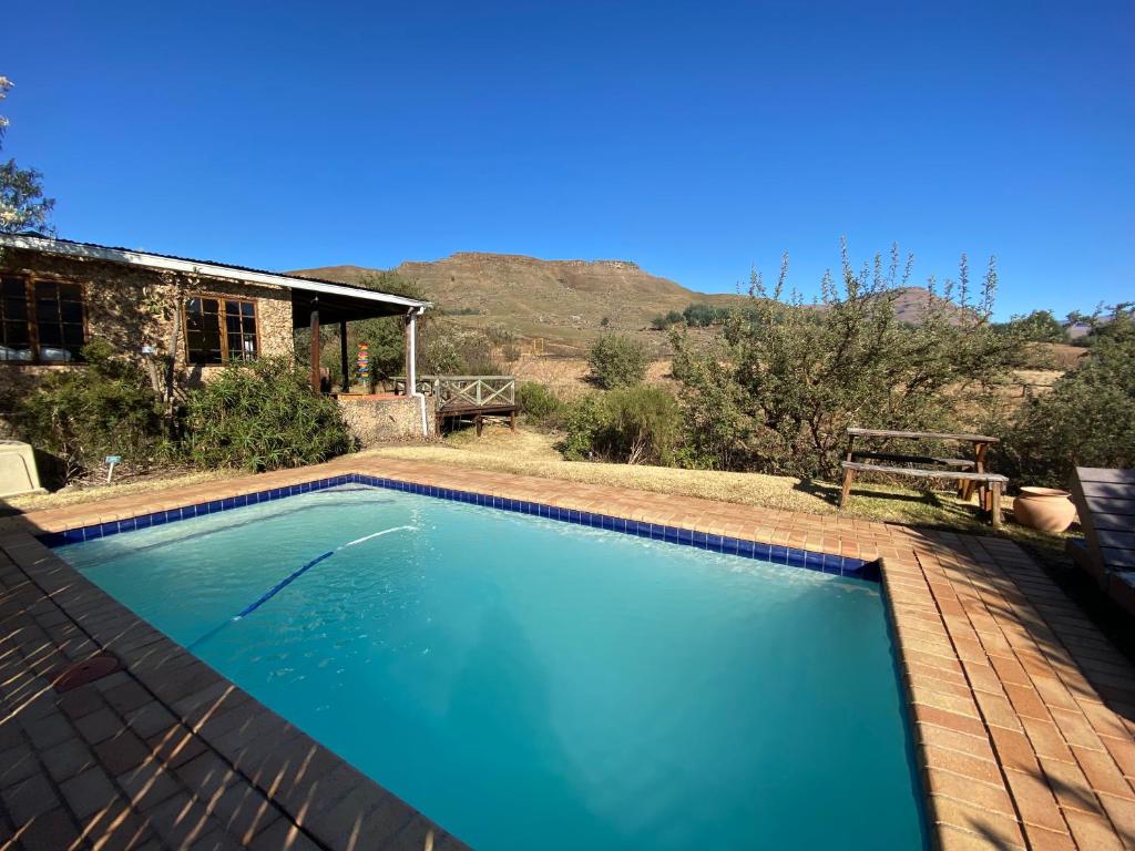 萨尼山口Sani Lodge and Backpackers Sani Pass South Africa的院子里的大型蓝色游泳池