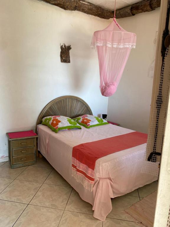 法兰西堡La Porte Du Paradis的一间卧室配有一张带粉红色窗帘的床