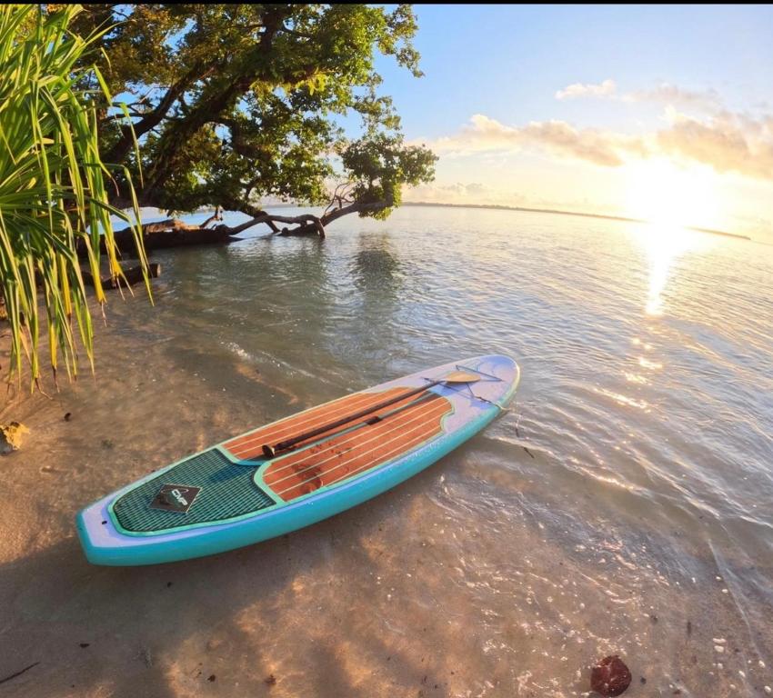 卢甘维尔Lope Lope Beach Bungalows的海滩上水面上的桨板