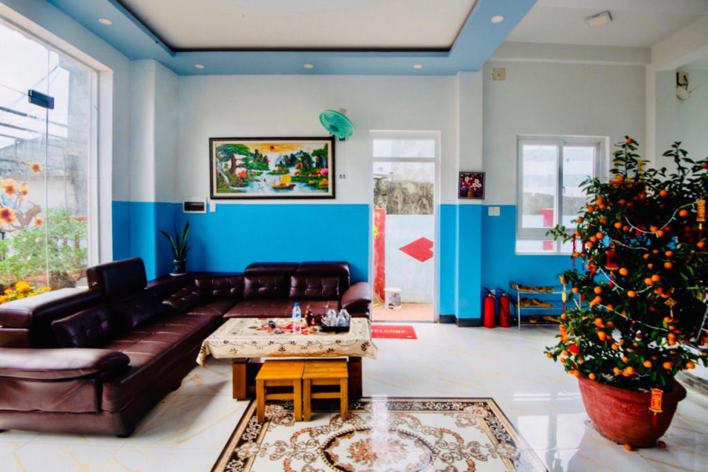 惹岛Thanh Tran Guesthouse Lý Sơn的带沙发和圣诞树的客厅