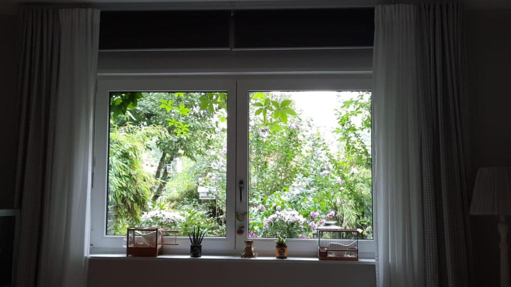 DillFerienwohnung Hering in Dill的窗户,有白色窗帘和鲜花