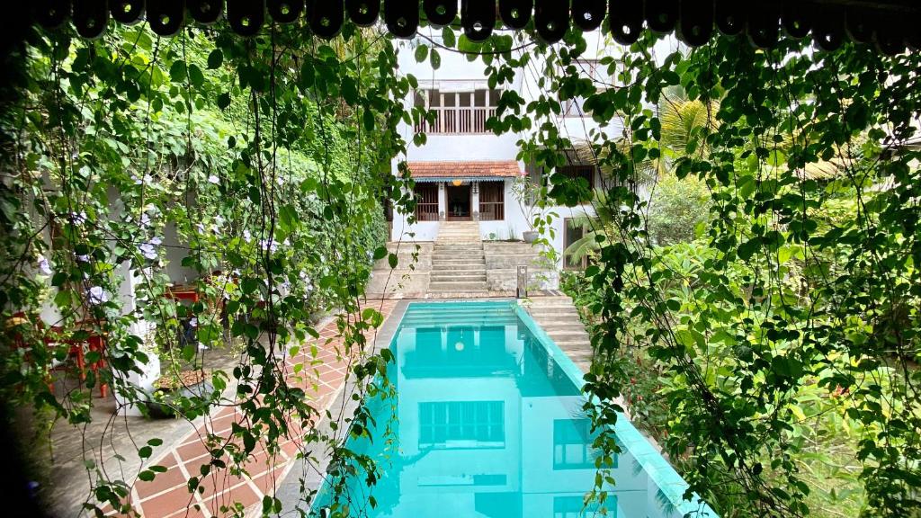康提GODDESS Kandy的享有种植了植物的游泳池的顶部景致
