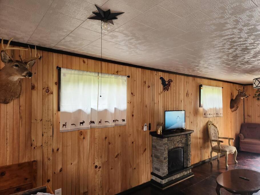 3 bed/2 bath Riverside cabin的客厅设有木镶板墙和壁炉