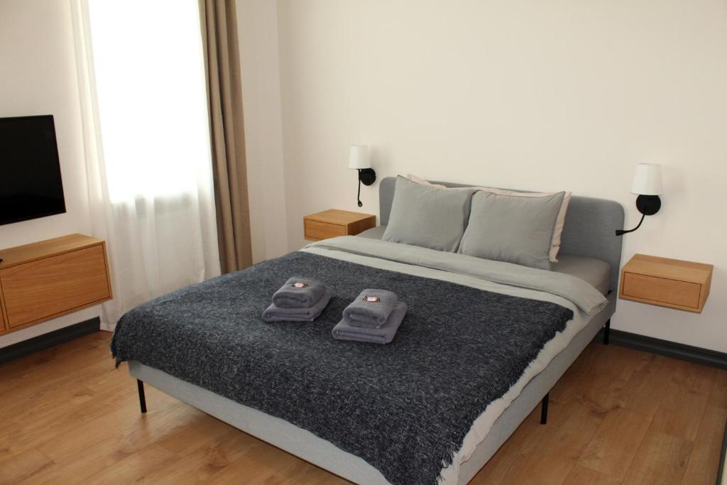 采西斯Cēsu apartamenti的一间卧室配有一张带两个遥控器的床