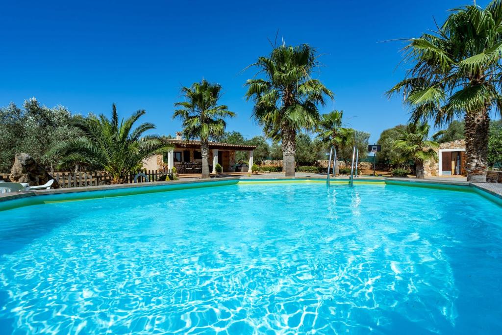 卡拉桑塔尼Chalet Turó的一座棕榈树环绕的大型游泳池
