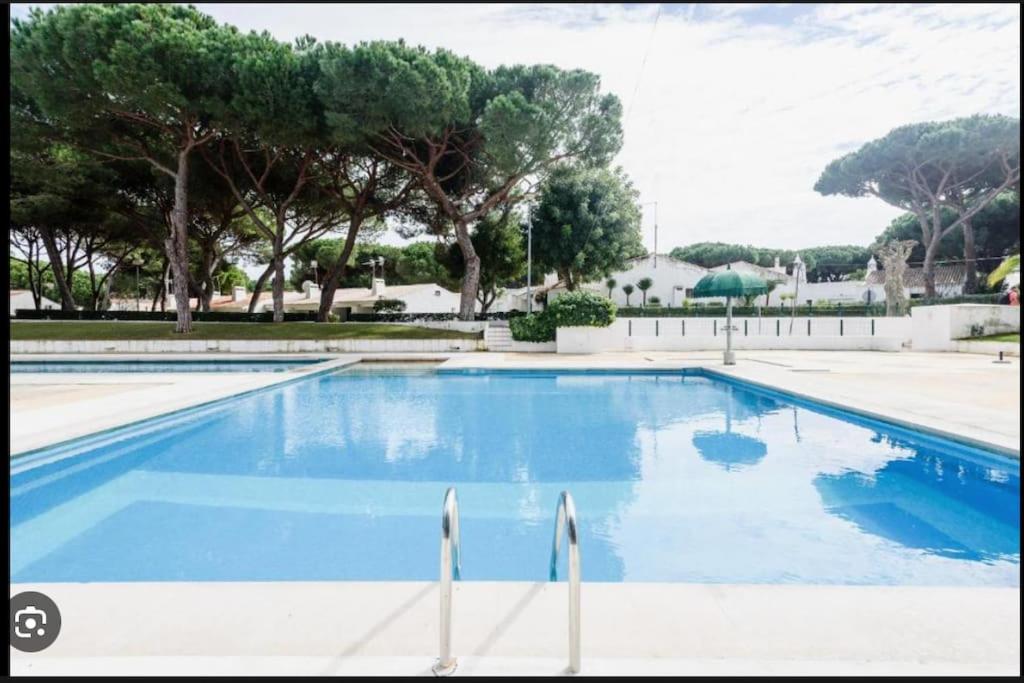 阿尔布费拉Casa Calma的一个种有树木的大型蓝色游泳池