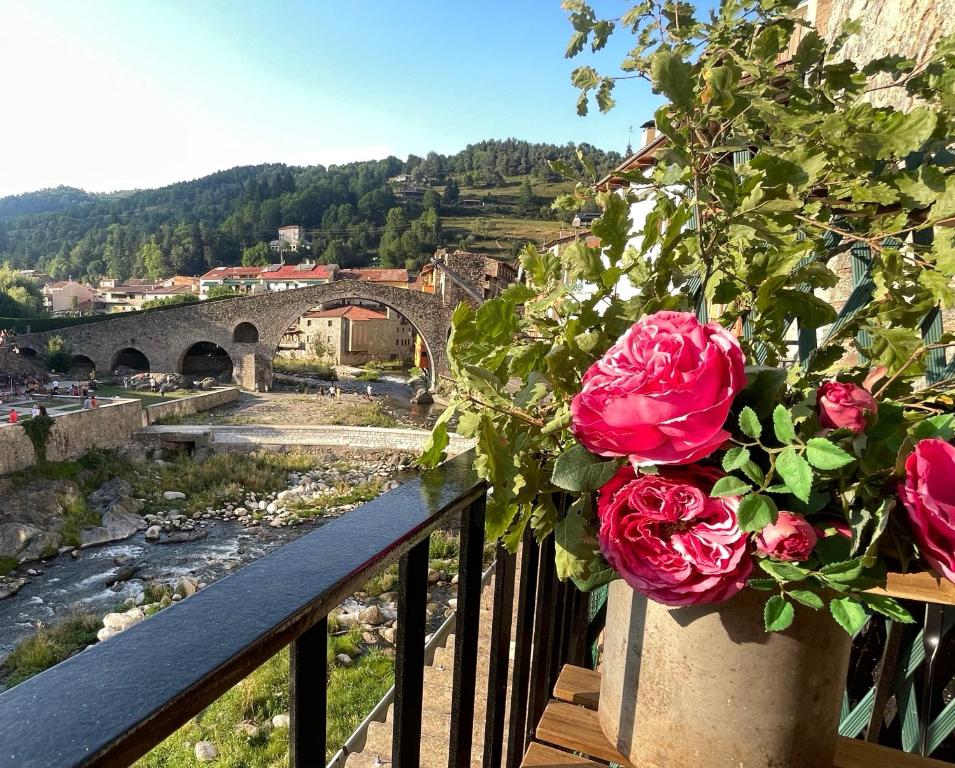 坎普罗东Apartamento colgante al río con vistas al puente的河面阳台的花瓶上玫瑰花