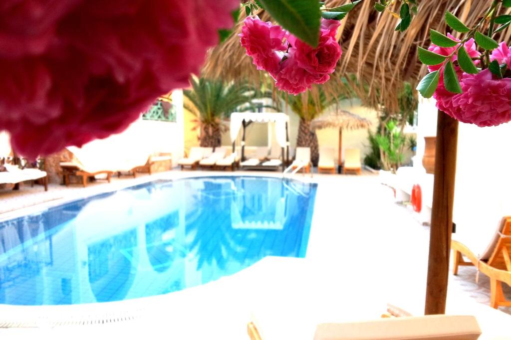 卡马利宙斯酒店的度假村内带紫色花的游泳池