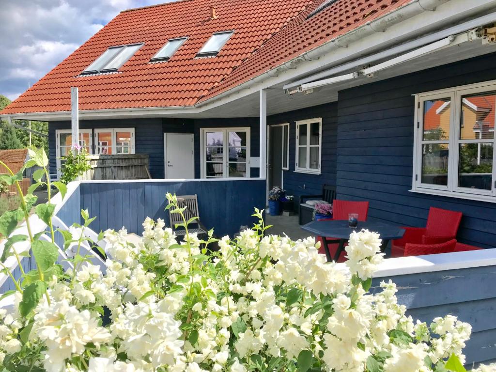 勒维Rørvig Bed & Kitchen的蓝色的房子,配有红色椅子和白色的鲜花