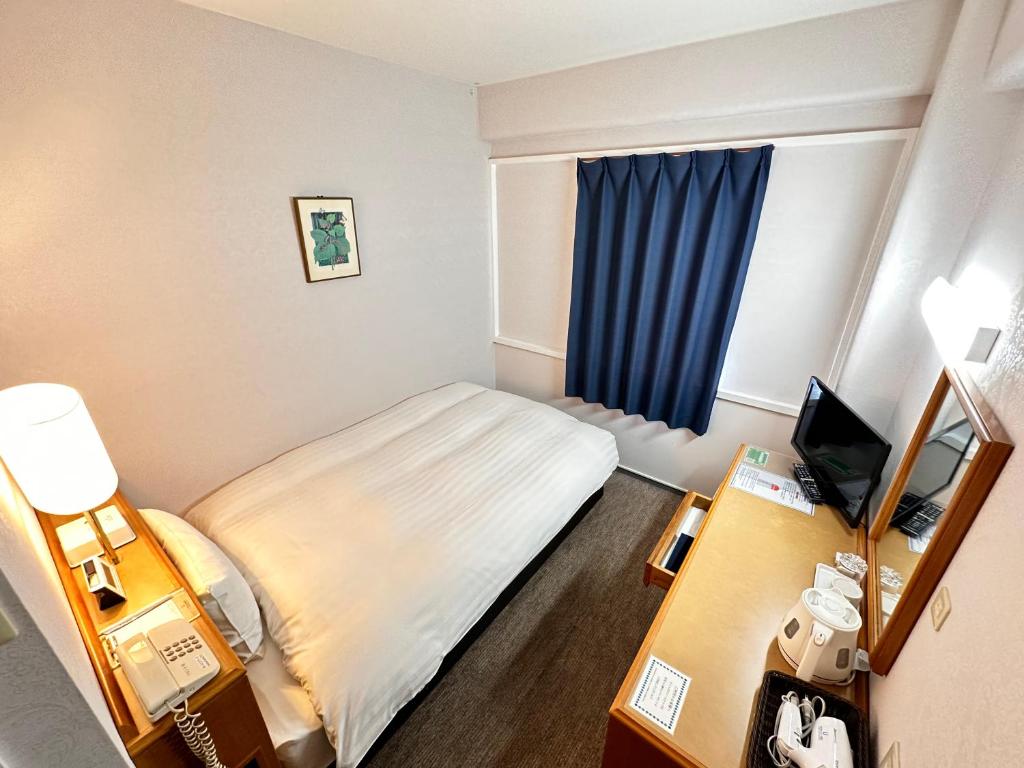 埼玉市埼玉新酒店的小型酒店客房设有床和窗户。