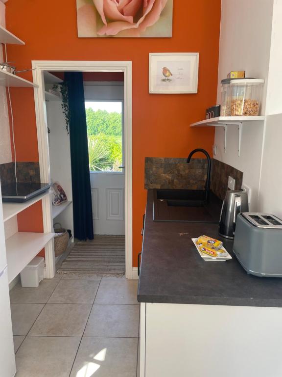 克朗梅尔Idyllic getaway in countryside的厨房设有橙色墙壁和台面