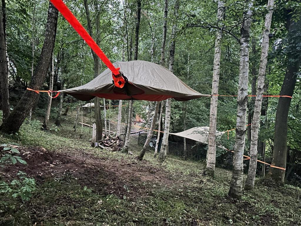 Baumzelte Mühlengrund的树林里的帐篷,带红丝带