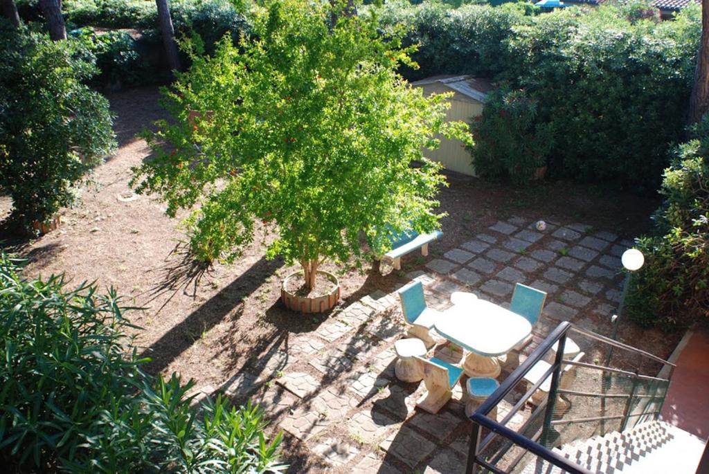 奥尔贝泰洛Giannella Apartment的一个带桌椅和树的庭院