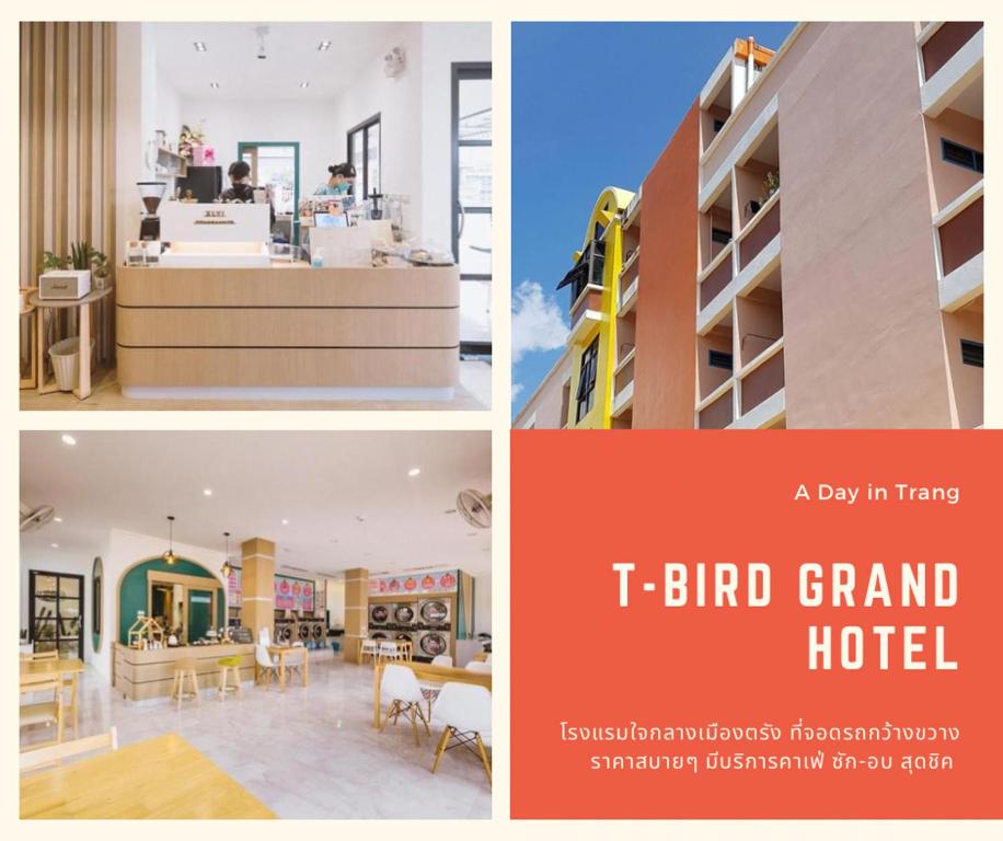 董里T-Bird Grand Hotel Trang ทีเบิร์ดแกรนด์的一天的榻榻米鸟大酒店